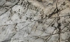 I nostri prodotti sono specifici per il marmo e possono rimuovere macchie, patine opache e ripristinare la lucentezza originale del marmo