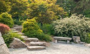 La pietra di Comblanchien è molto popolare in Giappone, dove viene utilizzata per la costruzione di giardini zen e altre opere di architettura giapponese